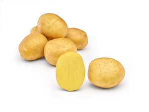Konzumne sorte