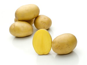 Belmonda — sorta krumpira